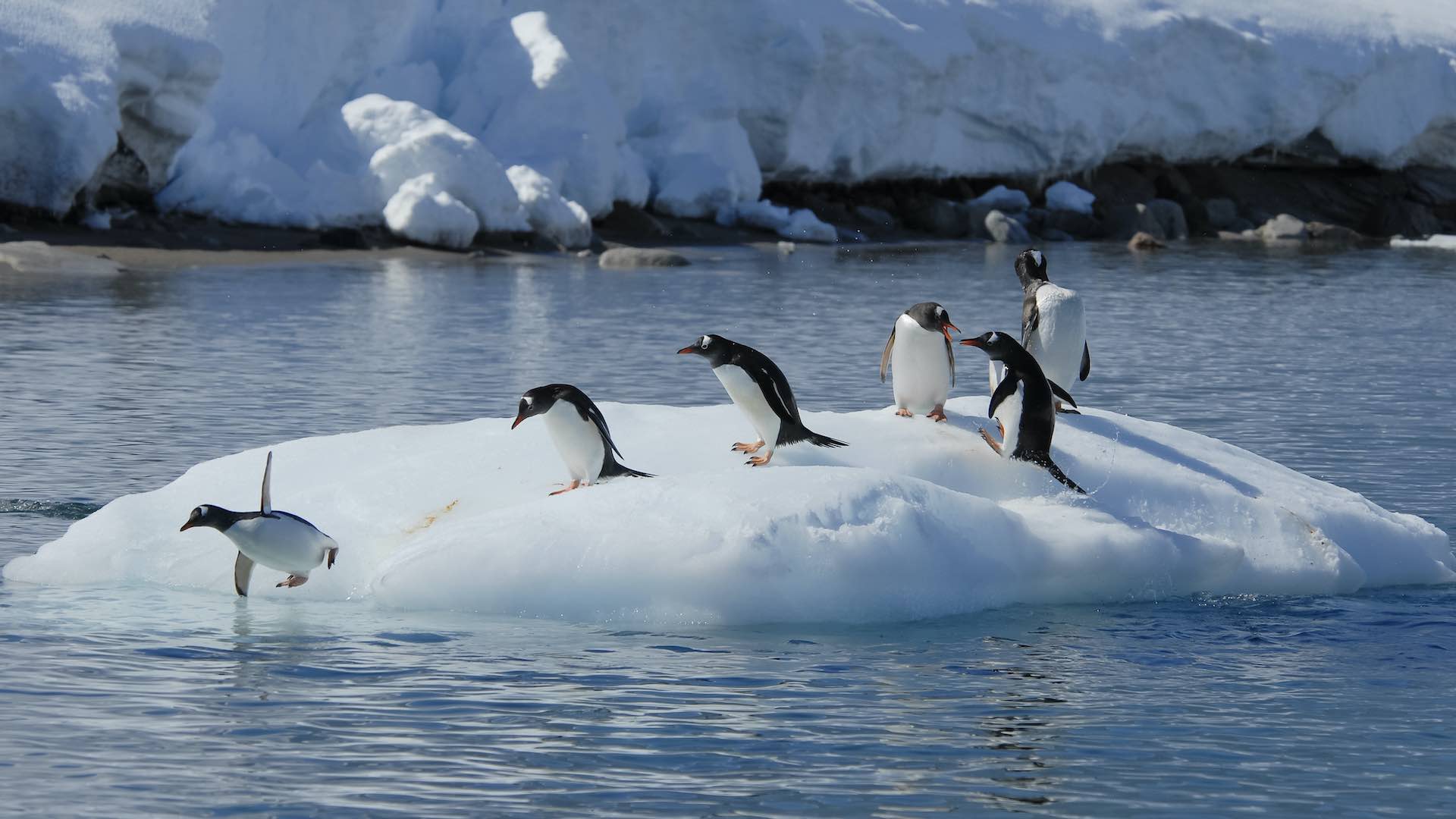 La fonte des glaces de l'Antarctique souligne l'urgence d'une action climatique, déclare le secrétaire général de l'ONU